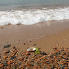 Поездка в на море)