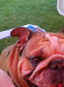 PbPaul PbPaul photo 5167422