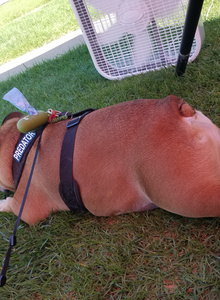 PbPaul PbPaul photo 5167431