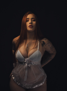 Tulipa1 One light photo 6330131