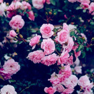 Не раздеваюсь!!