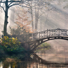 pussy-girl1 wish list item 1 thumbnail