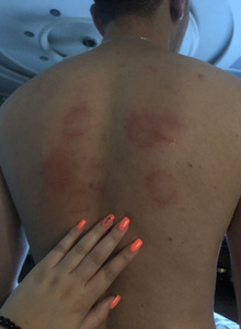 OthySh My Photos photo 5209639