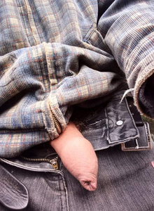 ZevsTree Уличка photo 5231752