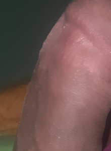 BoltBerk photo 5241248 thumbnail