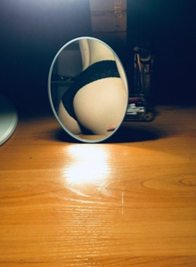 _Little_Fox_ My Photos photo 5267330