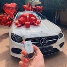 A lover of luxury cars