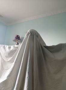 Pinksugar My Photos photo 5268546