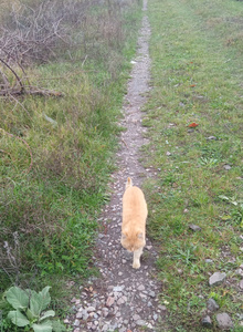 batta80 photo 5289846 thumbnail