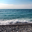 Хочу жить в Сочи.