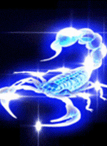 Raptorsb My Photos photo 5335158