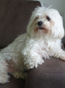 Jh-Lucifer666 My Photos photo 5386134