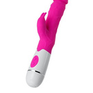 Sex Toy