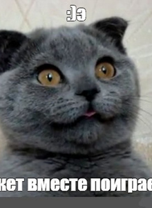 -_BIG-SAM_- photo 5405108 thumbnail