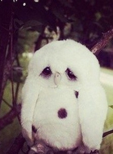 -_BIG-SAM_- photo 5405110 thumbnail