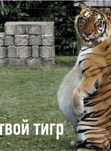 -_BIG-SAM_- photo 5405113 thumbnail