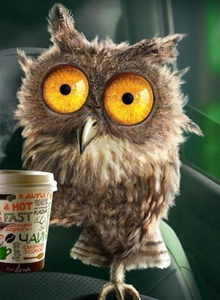 -_BIG-SAM_- photo 5405114 thumbnail