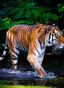 Gravedisorder My Photos photo 5416901