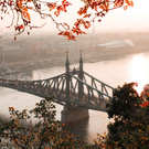 путешествия