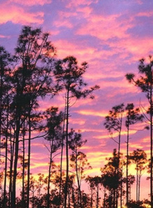 boy091qy69 My Photos photo 5440555