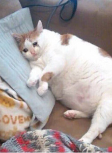 PeachyMoon My Photos photo 5443205