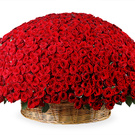 Хочцюю розочки