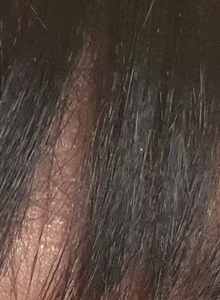 sissyjanice My Photos photo 5453241