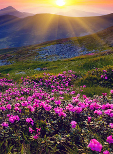 Odinstrannik My Photos photo 5497273