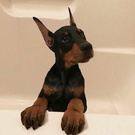 Собака мечты