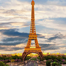 Make my wish come true