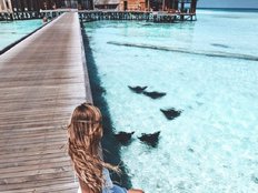 Dollfacebabe's avatar