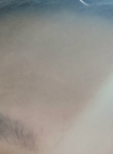 IBANEZKA My Photos photo 5892957