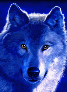 Ksoniks00 My Photos photo 6154354