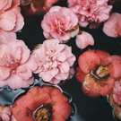 Find true love &amp; new experiences