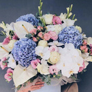 цветочки,блеать