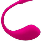 Lovense Vibrator