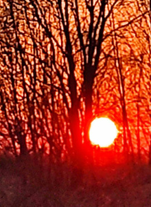 family-couple My Photos photo 6237880