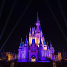 Disney Land for sure!