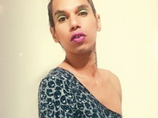 Susytrans
