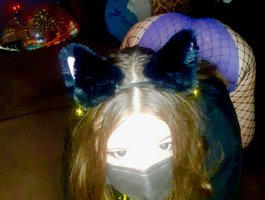 EvaFlex Profile Image