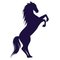 Dirtyhorse72