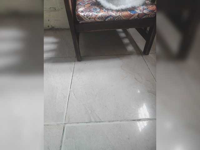 charlottesexl — bongacams