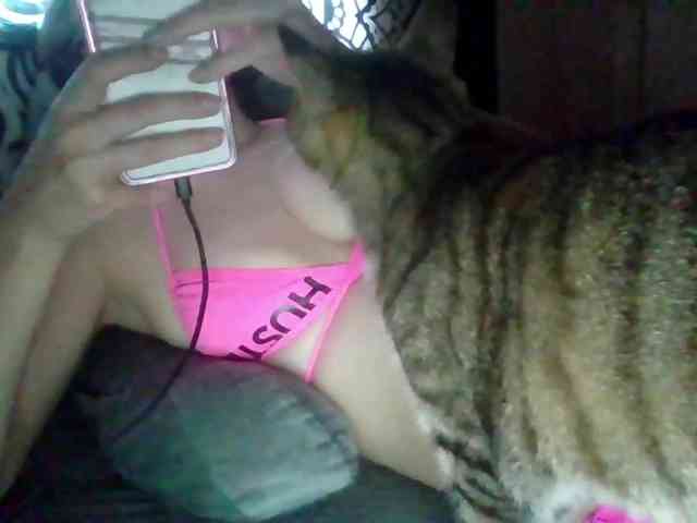 1800KittyCat snapshot