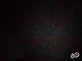 Snapshot 1 de 1000Maxim0001