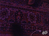 Snapshot 10 de 1000Maxim0001